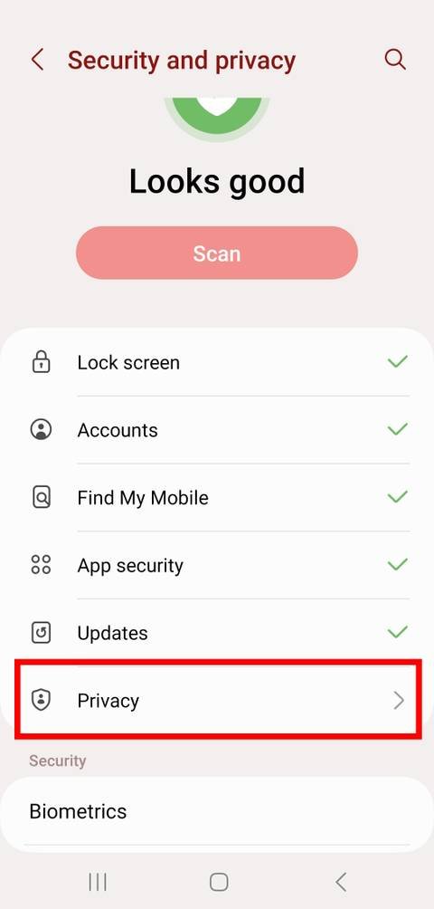 Mobile privacy and security settings screen for reviewing application access