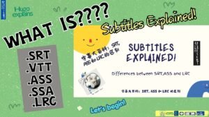 Subtitle and language track formats displayed for media playback selection